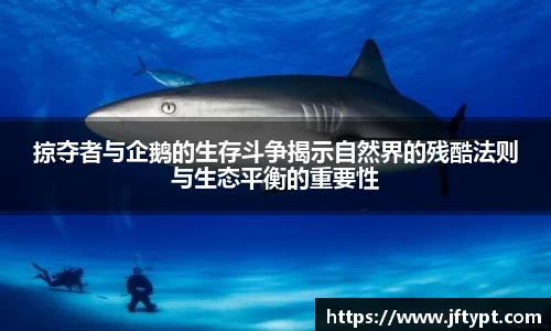掠夺者与企鹅的生存斗争揭示自然界的残酷法则与生态平衡的重要性